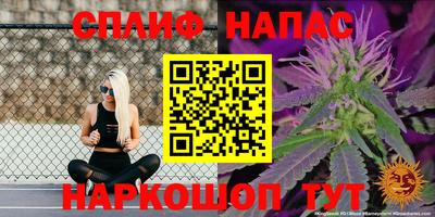 прущие грибы Моздок