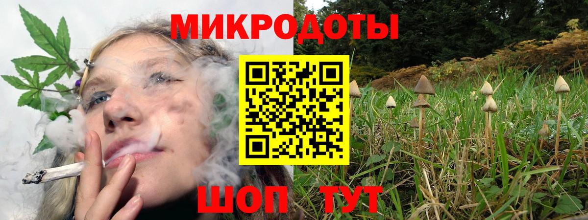 Галлюциногенные грибы Psilocybine cubensis  Вход с VPN  Сибай 
