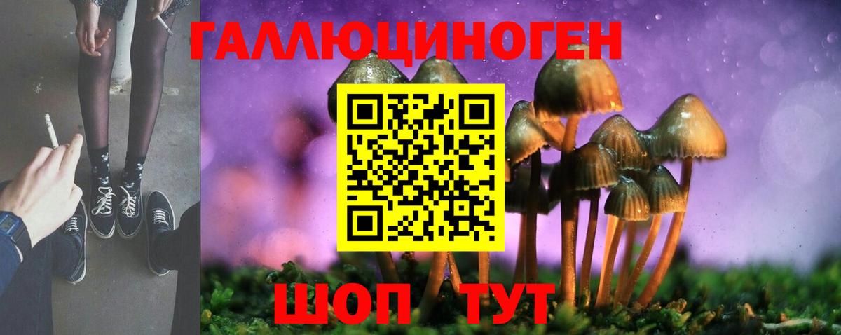 Галлюциногенные грибы Cubensis Сибай