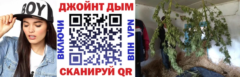 Бошки марихуана Amnesia  Сибай 